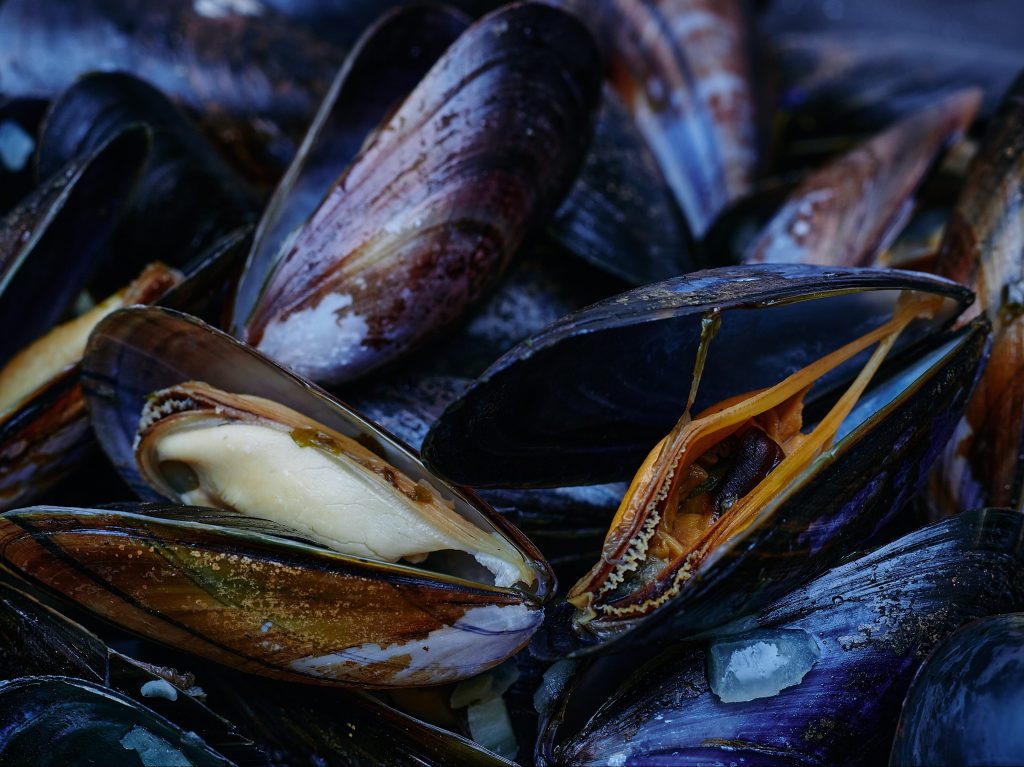 Cheesy Baked Mussels (Four Cheeses)