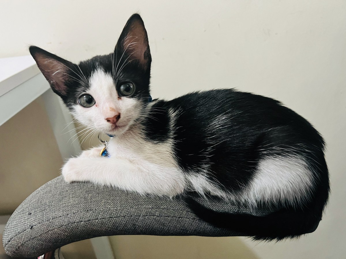 We’re in a Bit of a&nbsp;Pickle