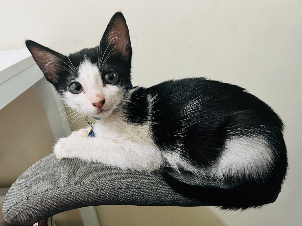 We’re in a Bit of a&nbsp;Pickle